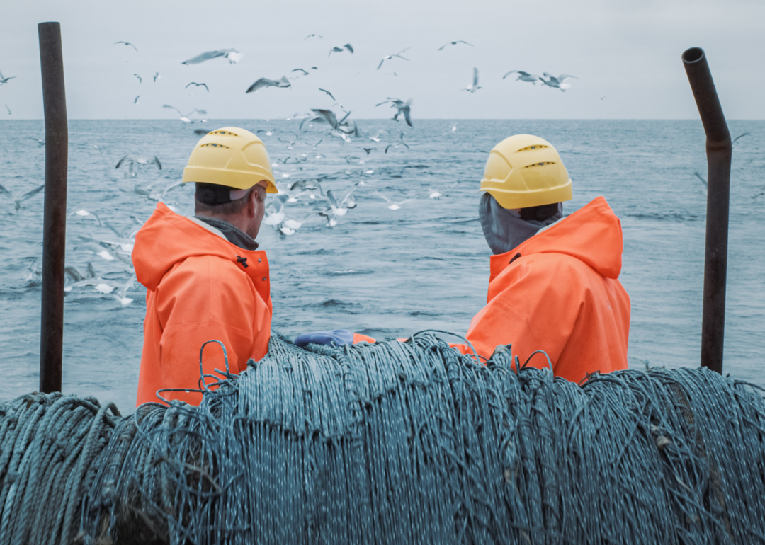 Crew of fishermen work on a commercial fishing ship pulling trawl net.