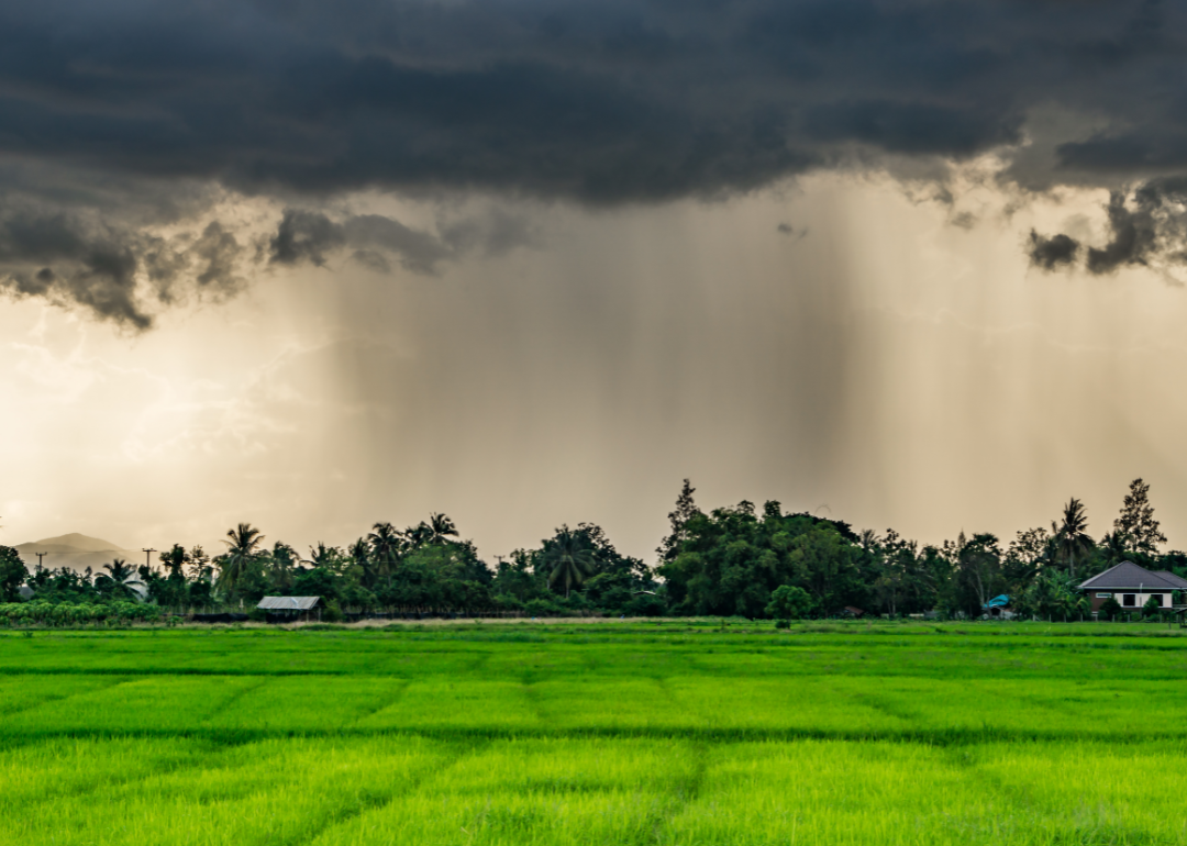 Open field during a storm