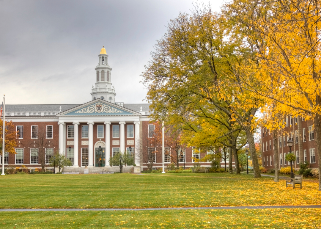 Harvard University building in the autumn with yellow leaves covering the grass.