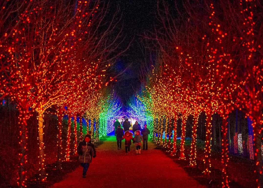 Close to 200,000 lights decorate a winter wonderland in Stockbridge, Mass., near Lenox.