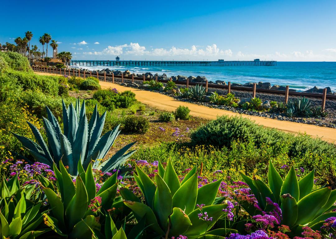 Colorful flowers and view of the fishing pier at Linda Lane Park, in San Clemente, California.