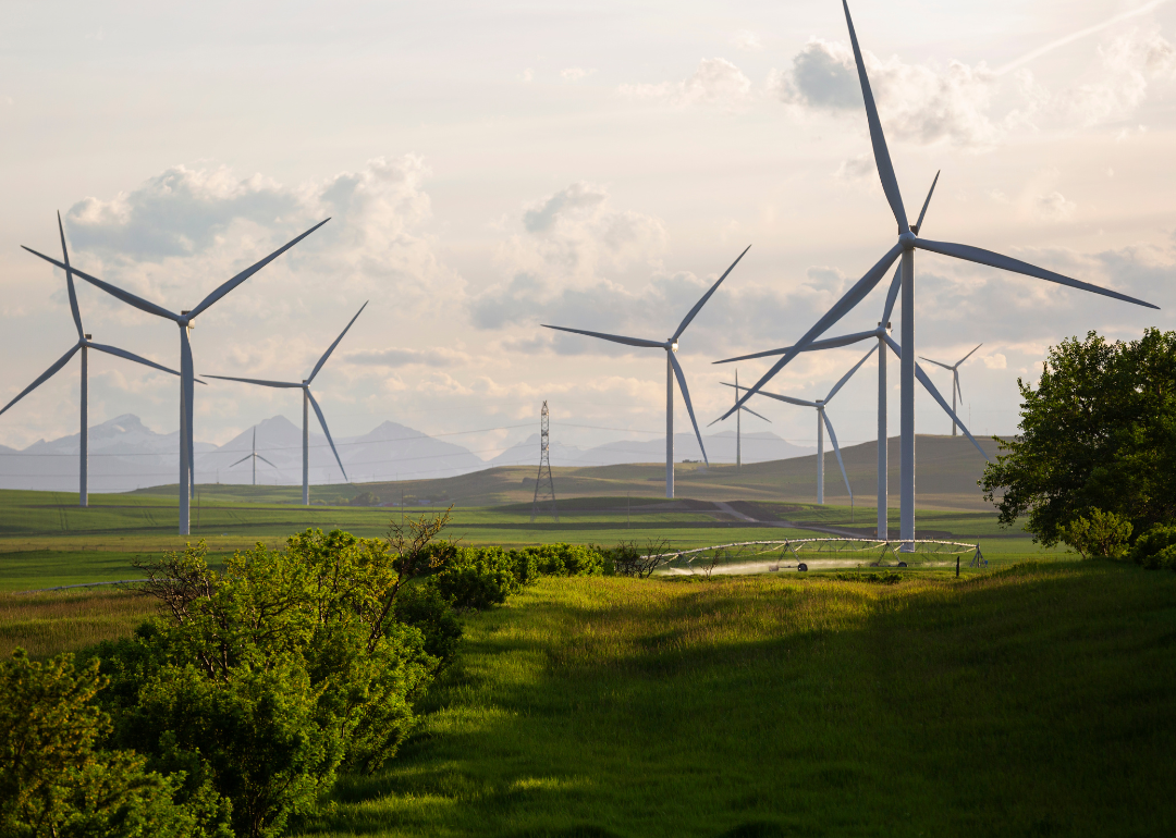 Large wind turbines lined up in a green field.