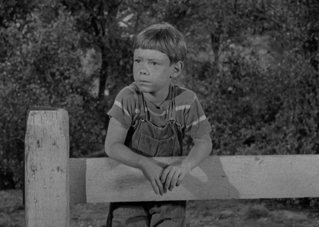 Actor Bill Mumy leans up against a fence in a black-and-white still from a 1960s TV show.