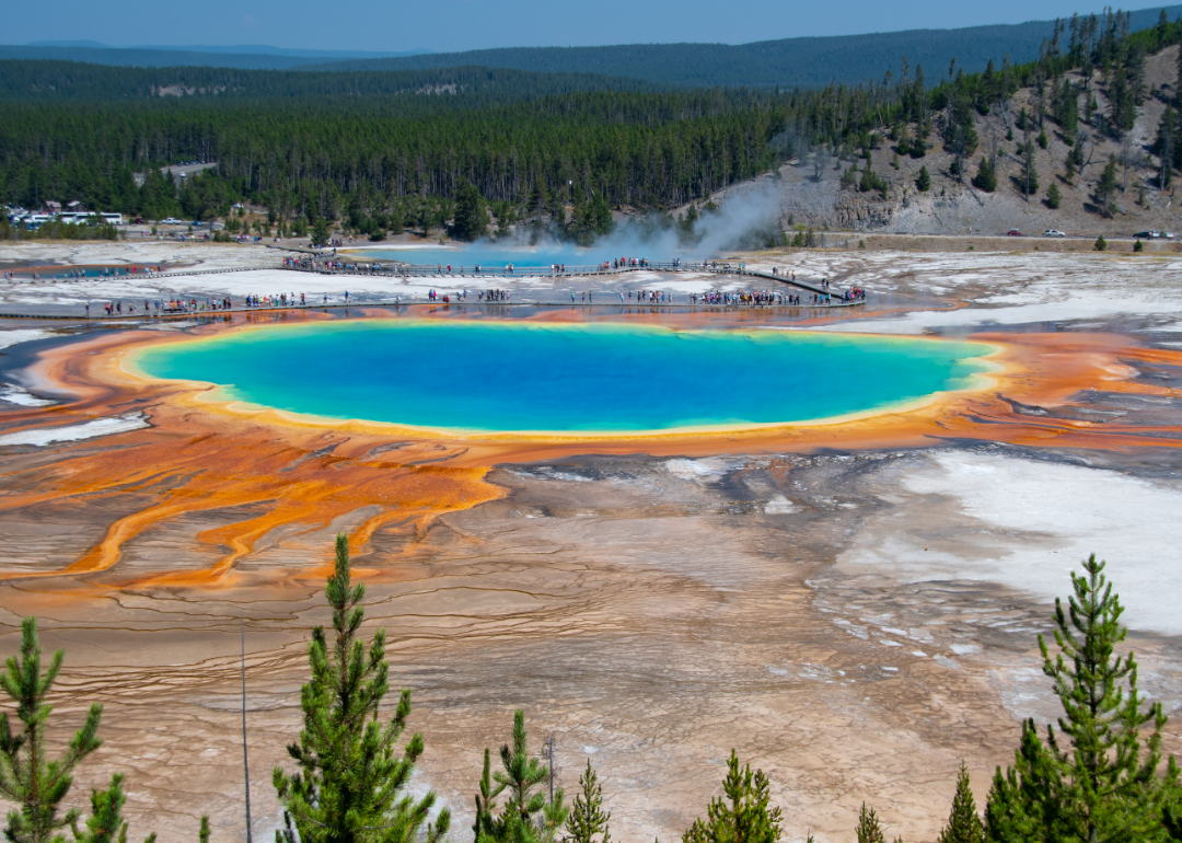 Geyser at Yellowstone National Park.