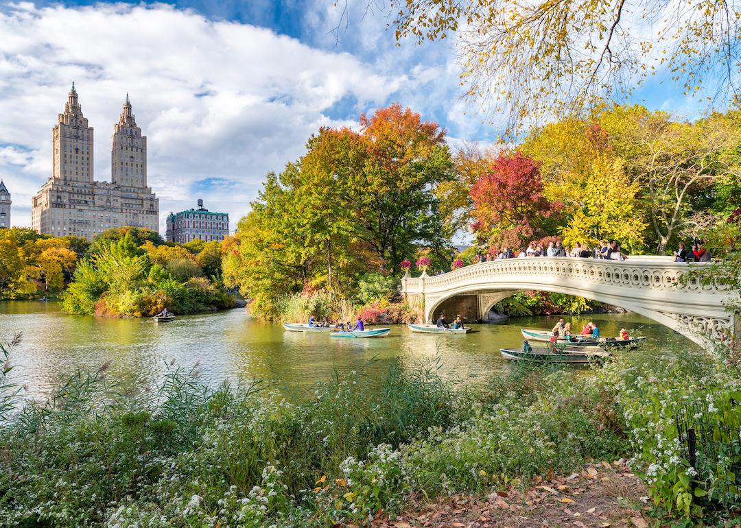Fall foliage in New York City's Central Park.