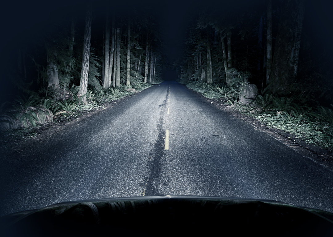Dark highway in a forested area is lit by headlights.