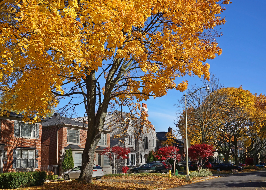 Street in a suburban neighborhood with fall foliage