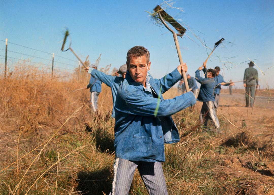 Paul Newman standing in a field, rake in hand, in a scene from "Cool Hand Luke", 1967.
