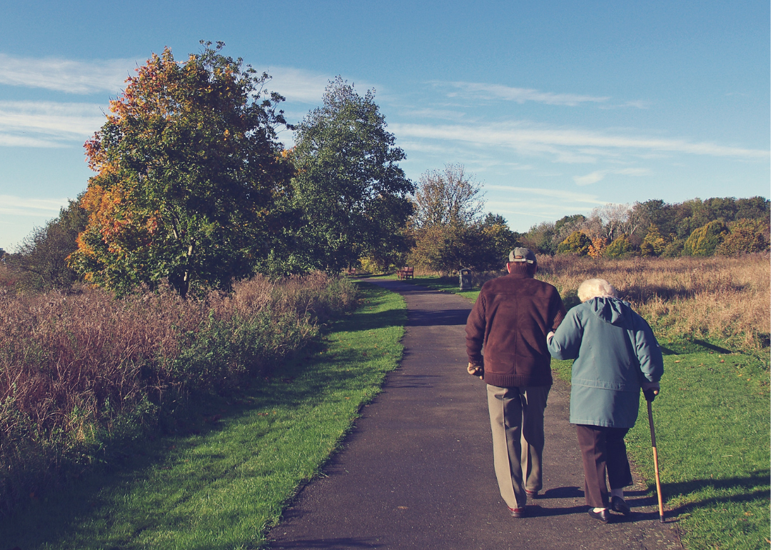 Old couple walking hand-in-hand in an open park