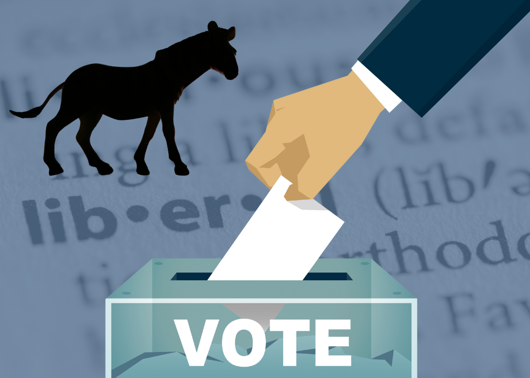 Illustration of a hand casting a ballot with the Democratic symbol in the background.