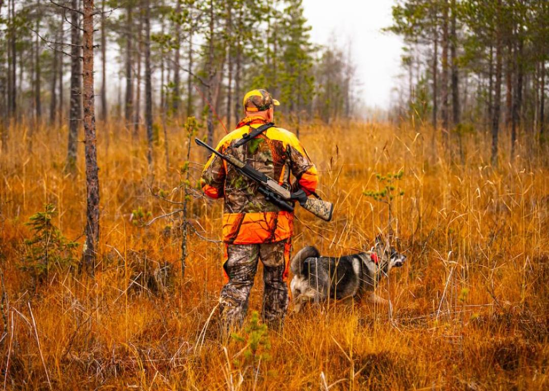 A hunter and his elkhound outdoors in the wilderness