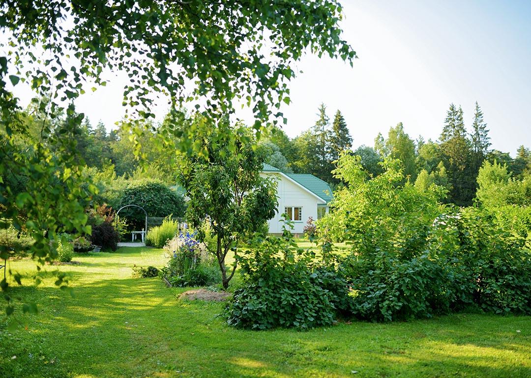 Beautifully displayed yard with the greenest grass and various plants and flowers.