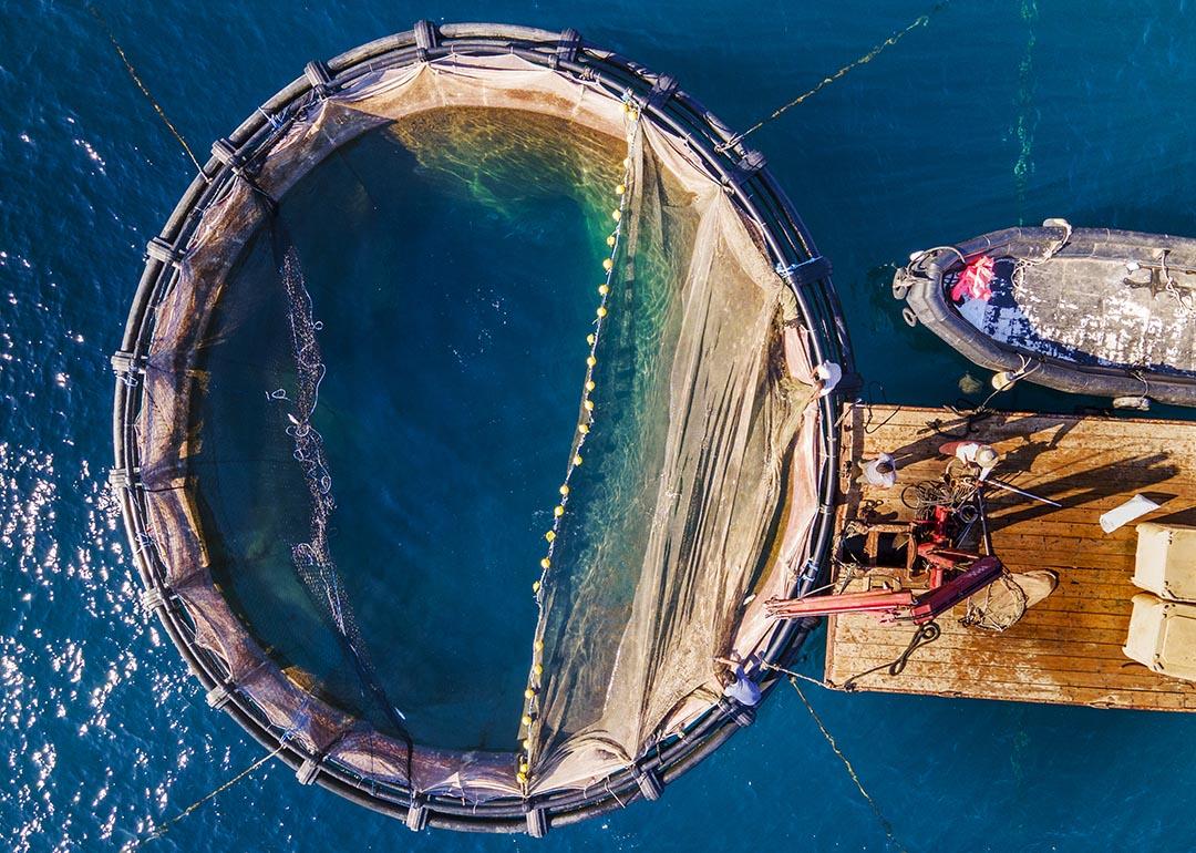 Aerial view of fish pens at the Agricultural Fishing Cooperation fish farm in Saronic Gulf, Greece.