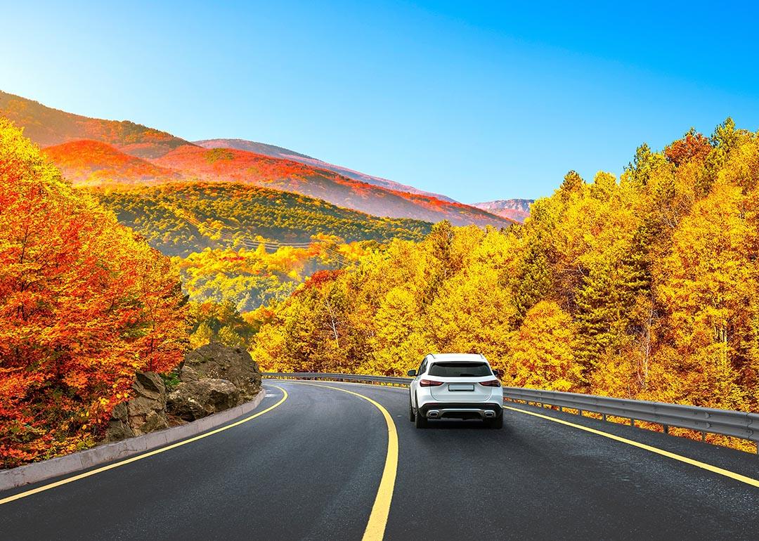 Car driving on black asphalt road surrounded by trees with red and yellow leaves on both sides.