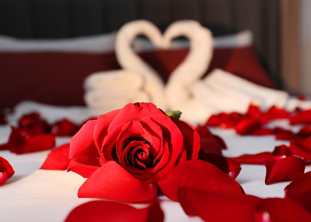 Close up image of roses and swans on a hotel bed honeymoon suite.