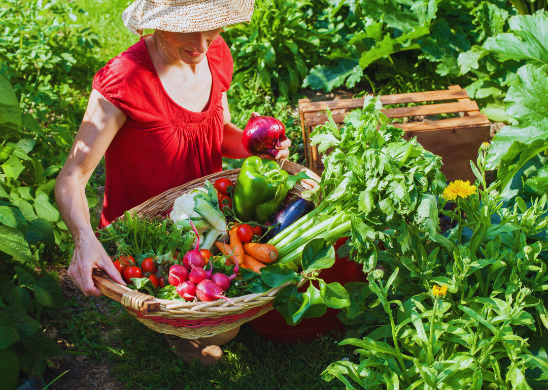 A lady holding a basket full of different vegetables harvested from her garden.