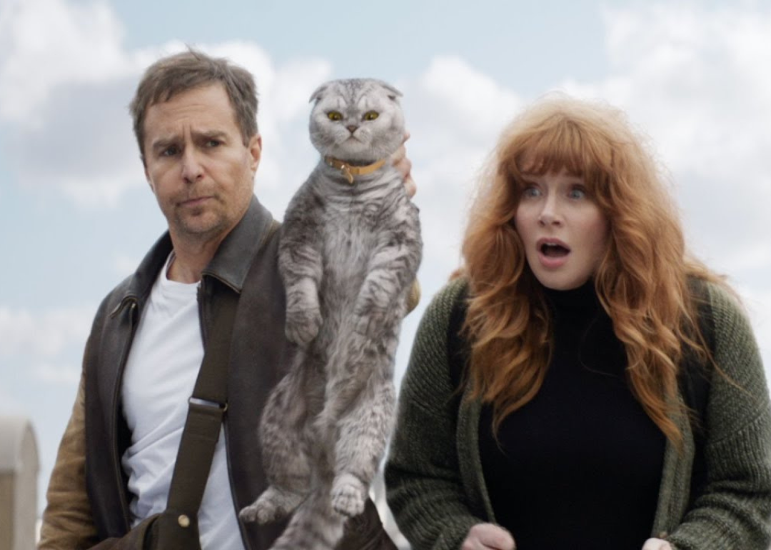 Sam Rockwell and Bryce Dallas Howard with a cat in a scene from 'Argylle' 