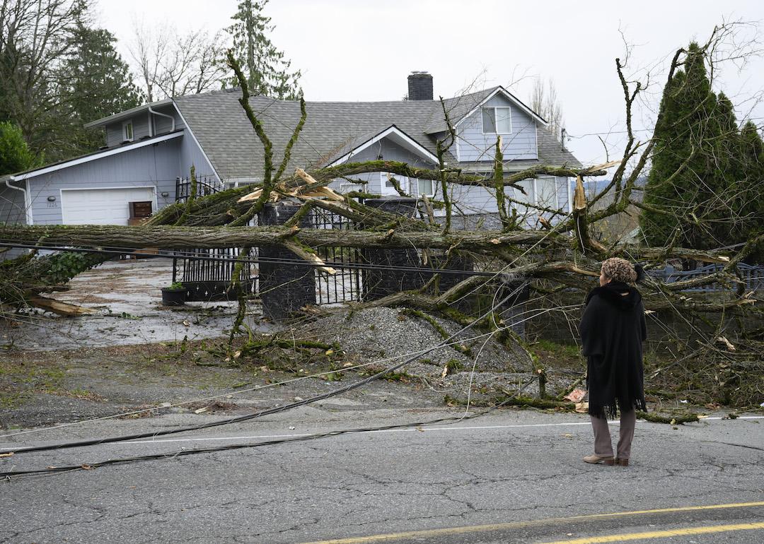 A resident stands in front of her property covered with downed power lines and trees on Nov. 20, 2024 in Lake Stevens, Washington, the result of a rare storm called a 'bomb cyclone.'