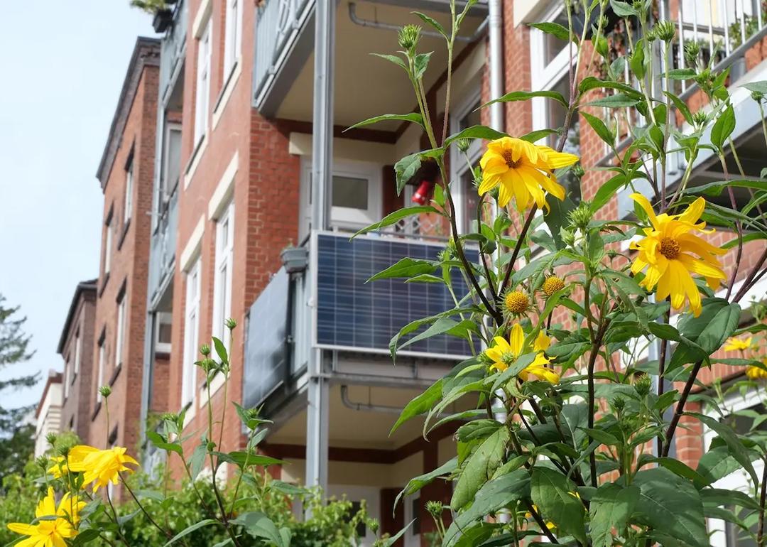 A balcony with solar panels with yellow flowers in the foreground.