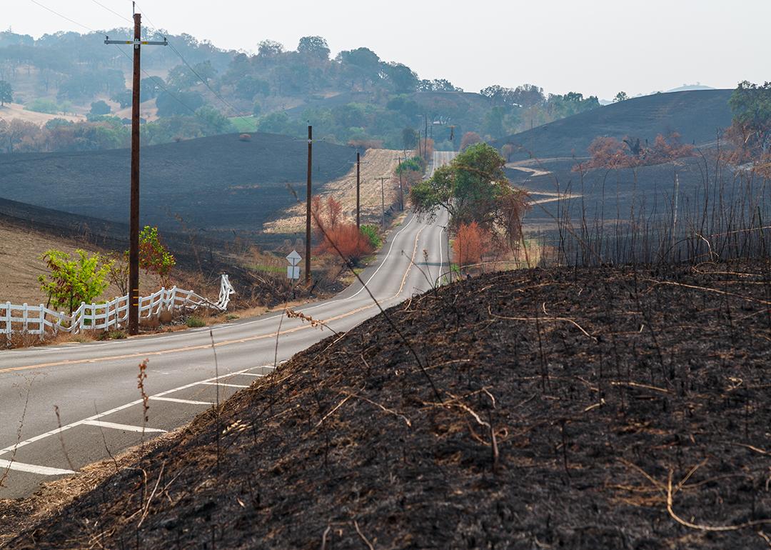 A view of fields scorched by a wildfire in Northern California.