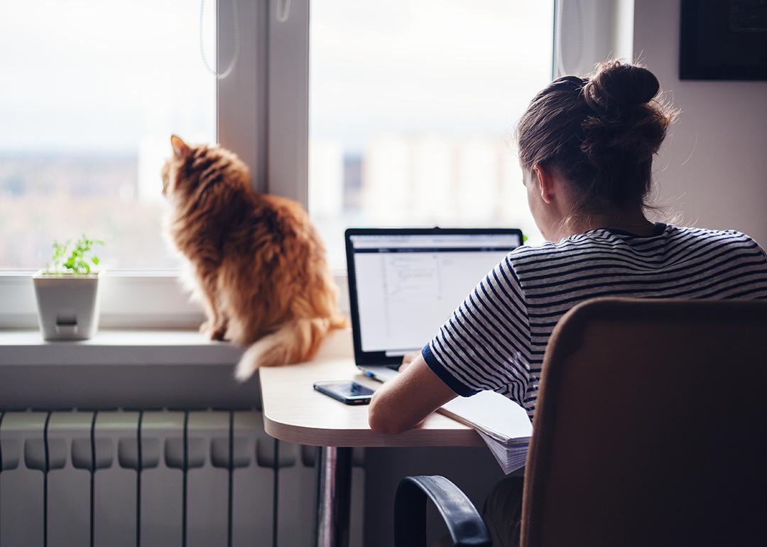 A woman working from home with a pet cat sitting on the window.