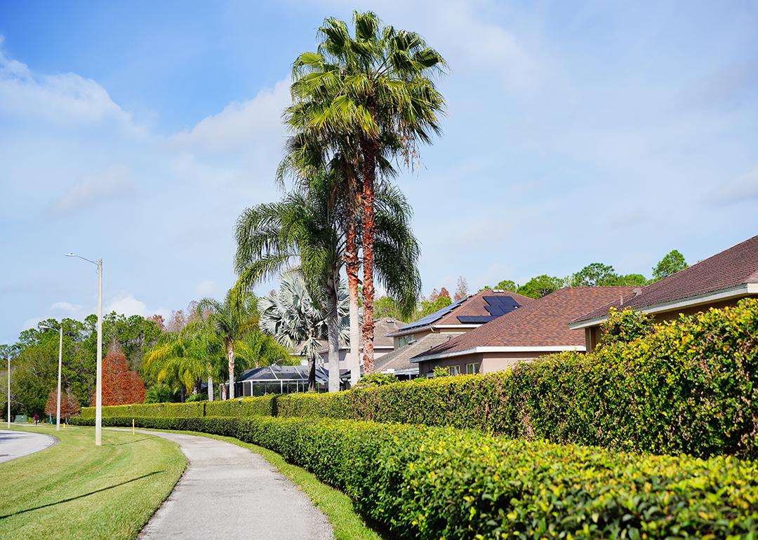 Winter trees along a residential neighborhood in Florida.