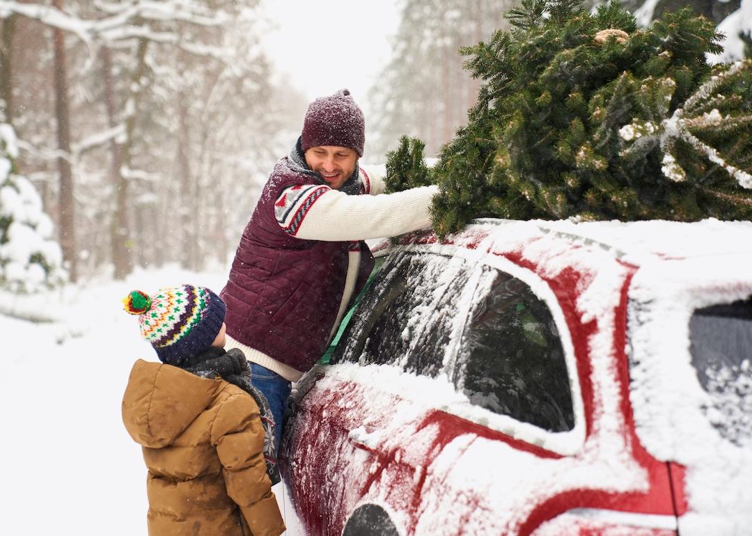 Parent and child loading Christmas tree on to the roof of their car.