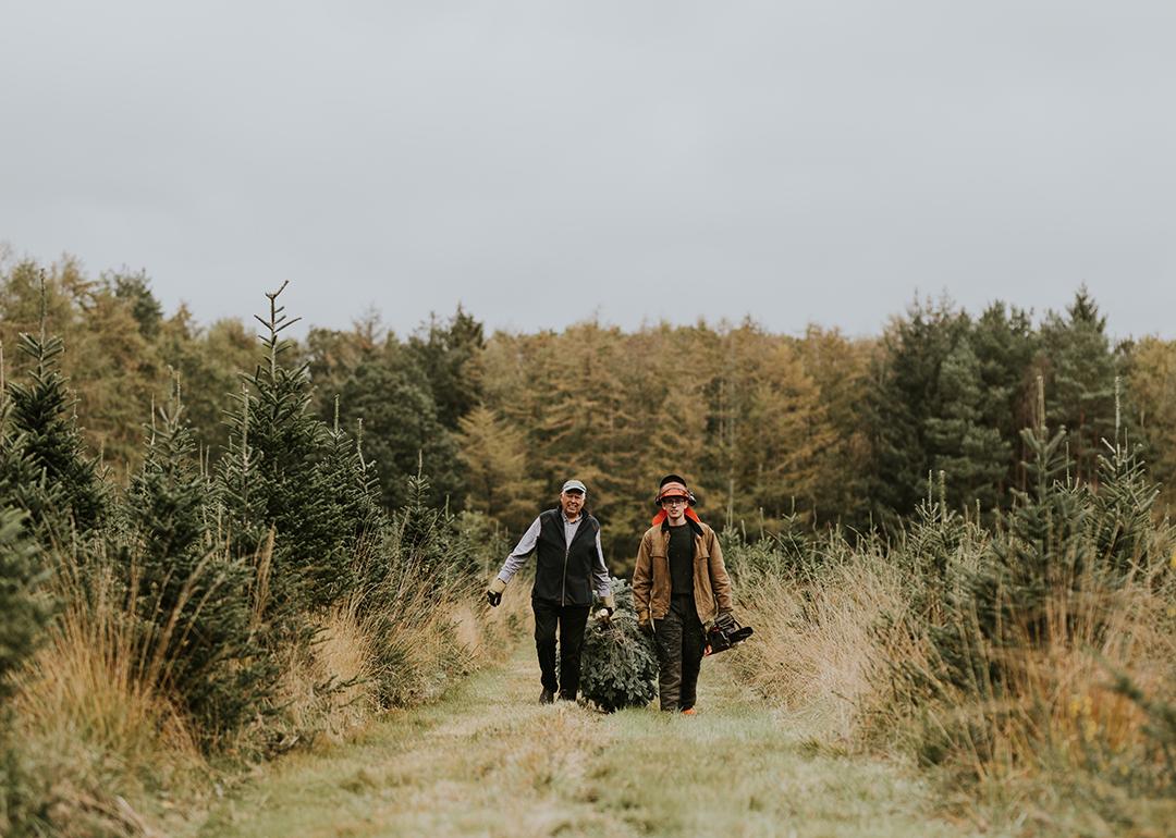 Two men hauling a Christmas tree.