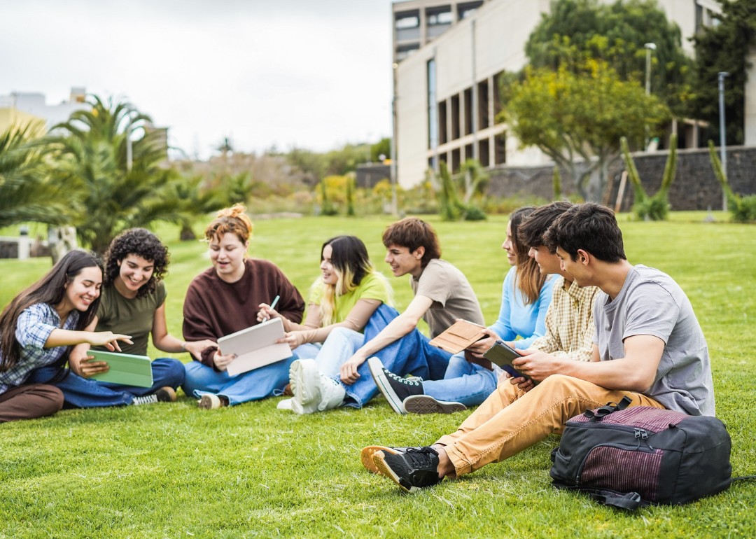 A group of students studying together on the lawns of a college campus