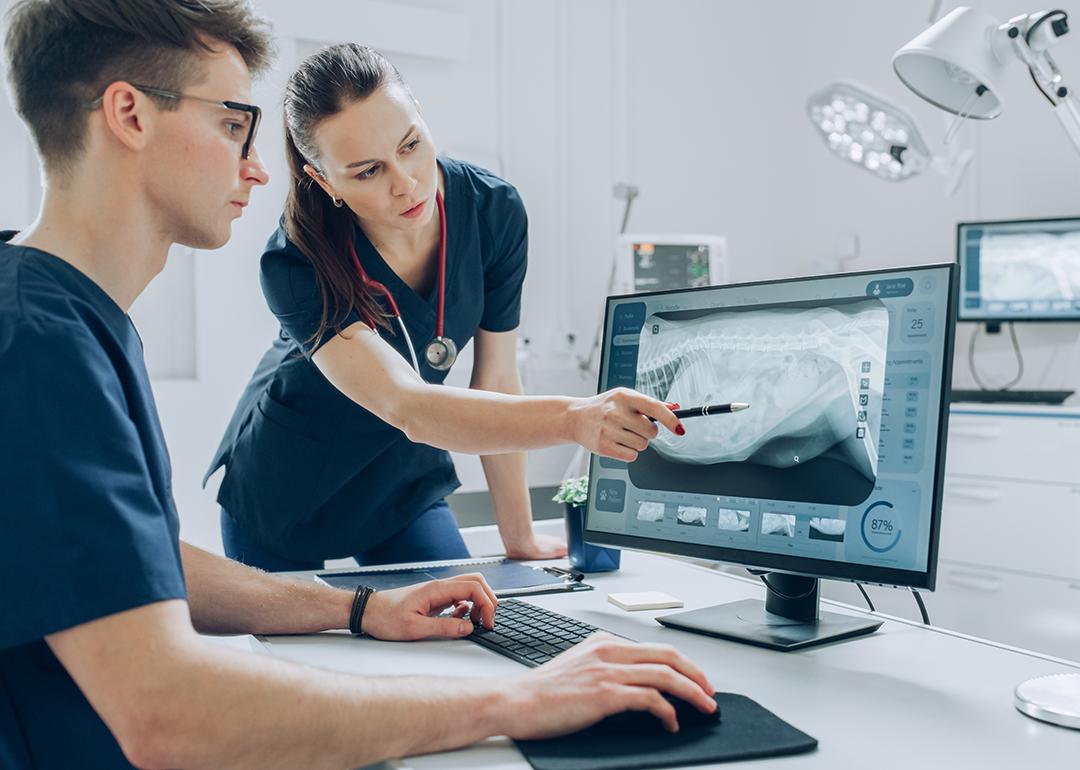 Two veterinarians examining an animal's x-ray scan in their clinic.