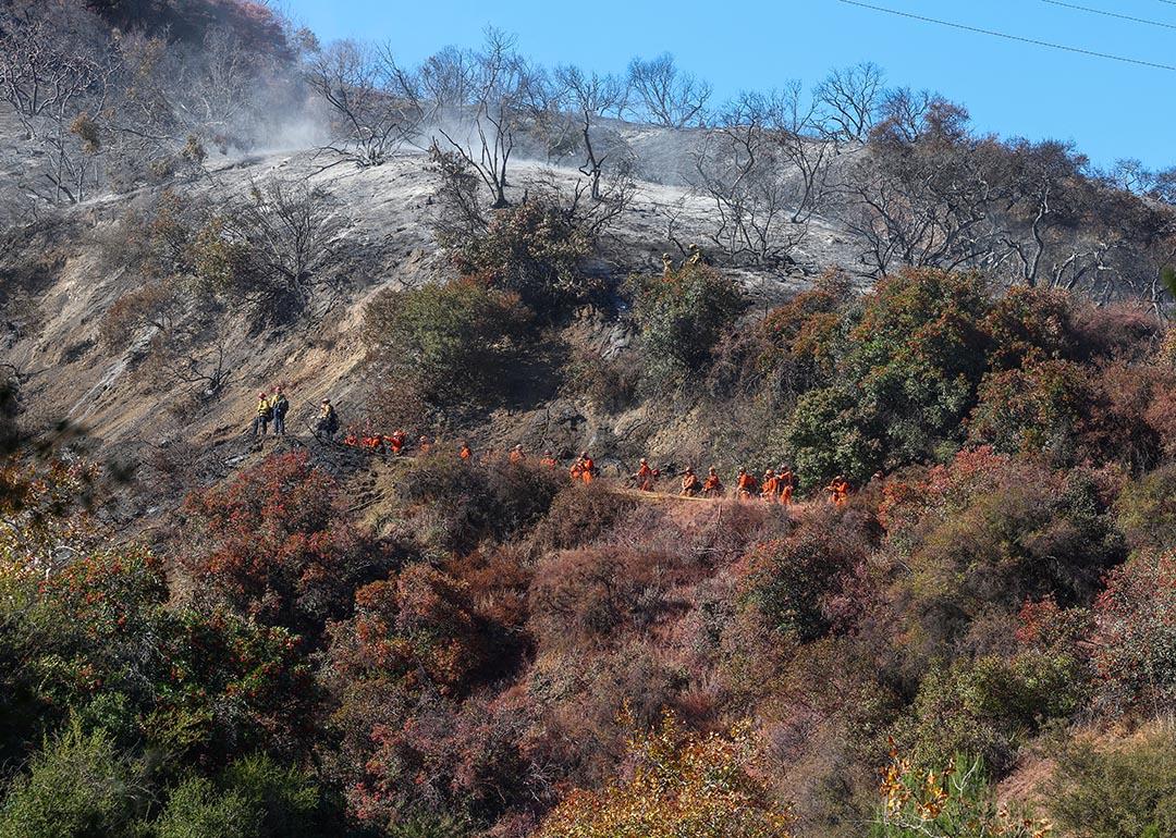 Inmates (in orange) help firefighters (L) to extinguish the last embers in the hills of Mandeville Canyon after the Palisades Fire burned part of it in January 2025.