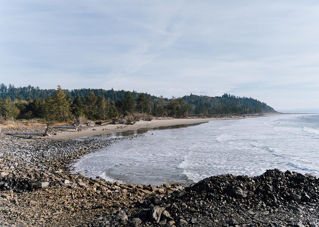 A section of beach in North Cove, Washington that is being restored by installing dead trees at an angle to build up the eroding shoreline.