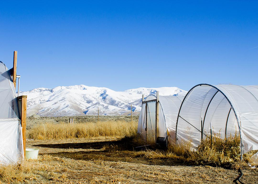 Two of the hoop houses the Lotspeichs paid for using NRCS grants.