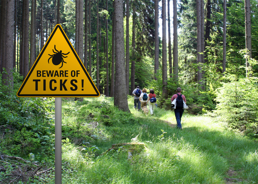 Warning sign near a lush green forest trail that says "beware of ticks" with hikers in the background