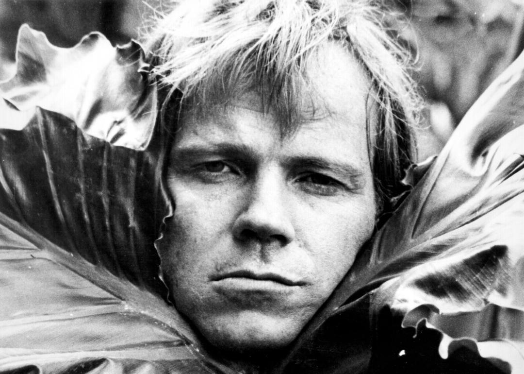Portrait of Barry McGuire, circa 1970