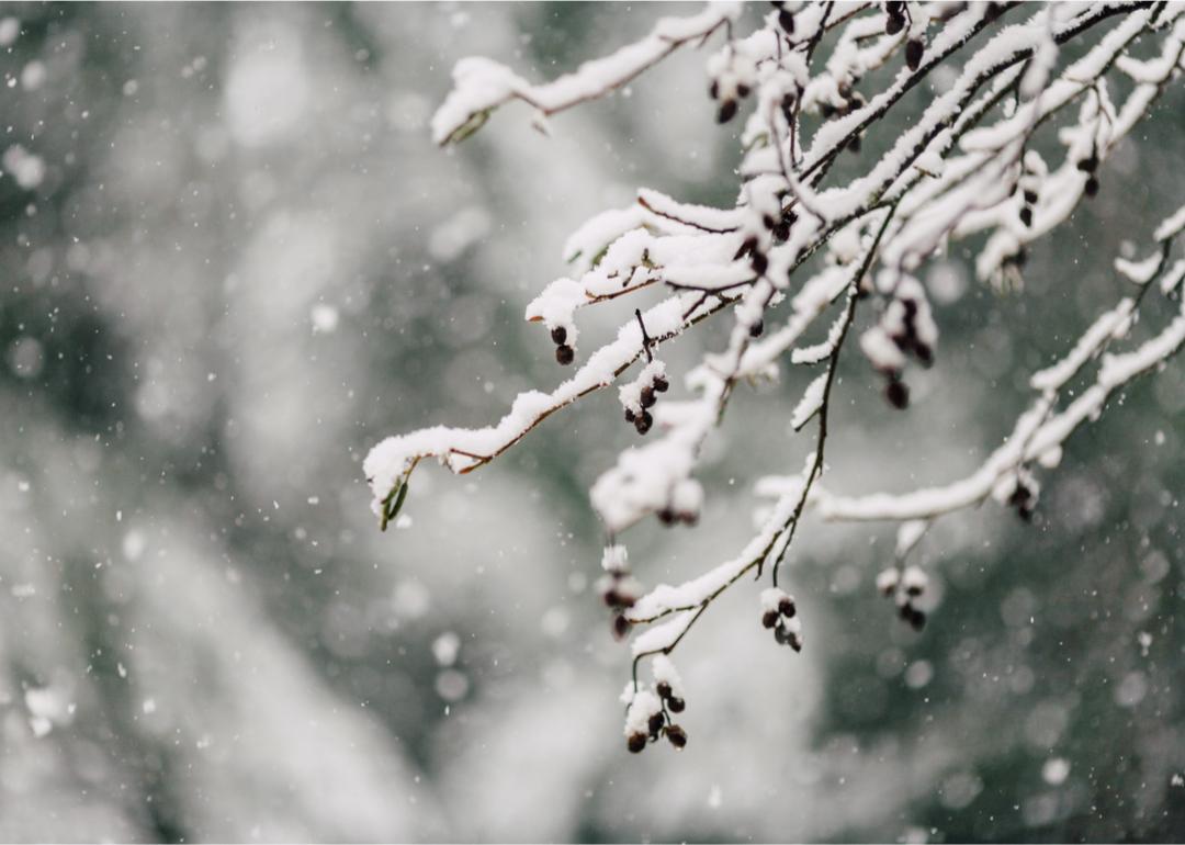 Biggest Snowfall Recorded in Santa Cruz County CA History Stacker