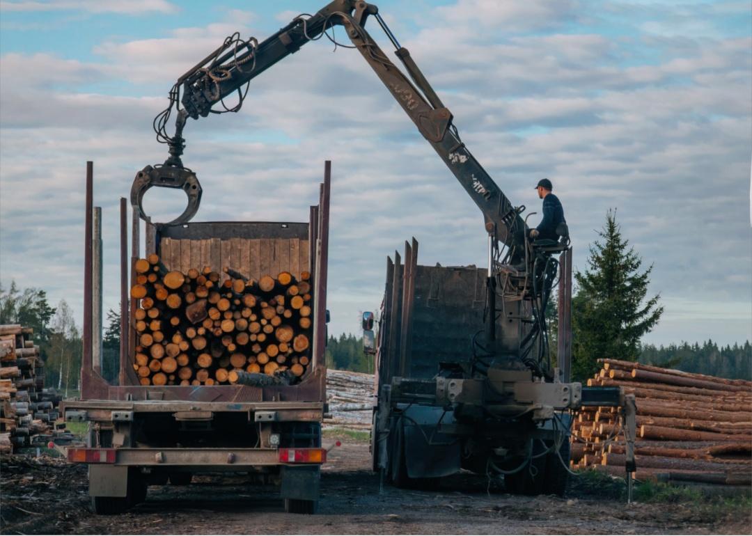 A large crane is positioned near the truck. The crane's arm is extended, holding a grapple that is lifting logs from the ground.