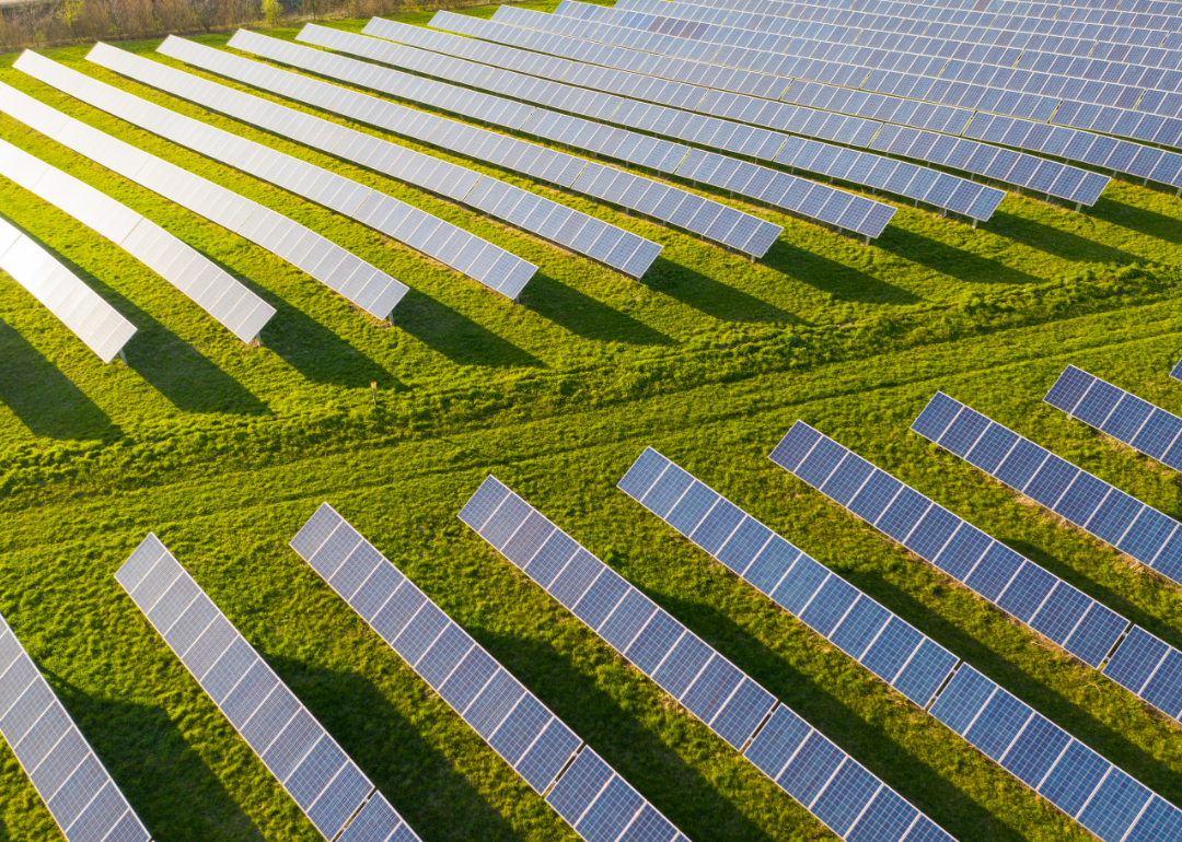 A field filled with rows of solar panels