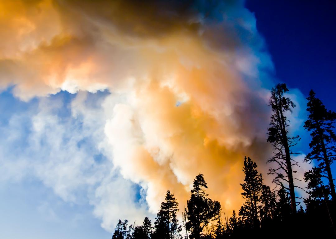 Smoke and flames bellow from a wild fire in Yellowstone Park.
