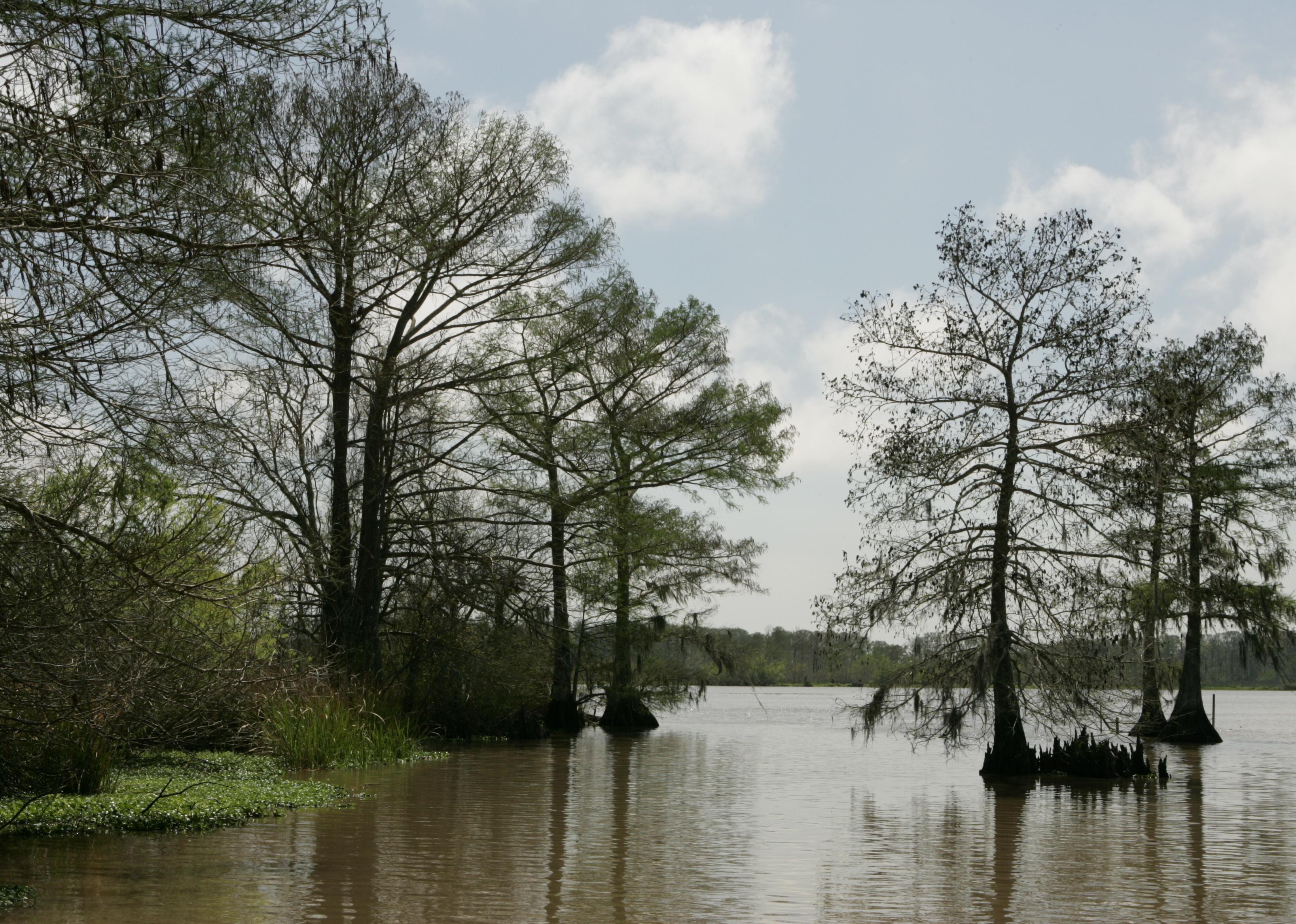 Most Rural Parishes in Louisiana Stacker