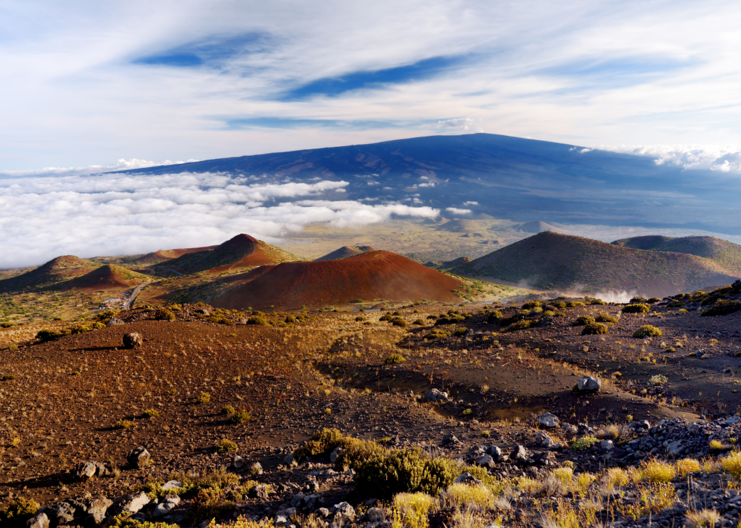 See the Most Extreme Temperatures in Hawaii History Stacker