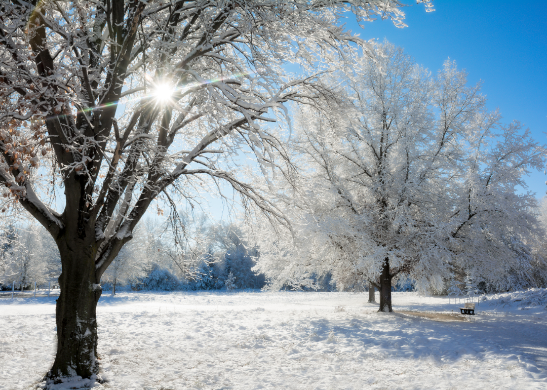 See The Most Extreme Temperatures In Ohio History Stacker