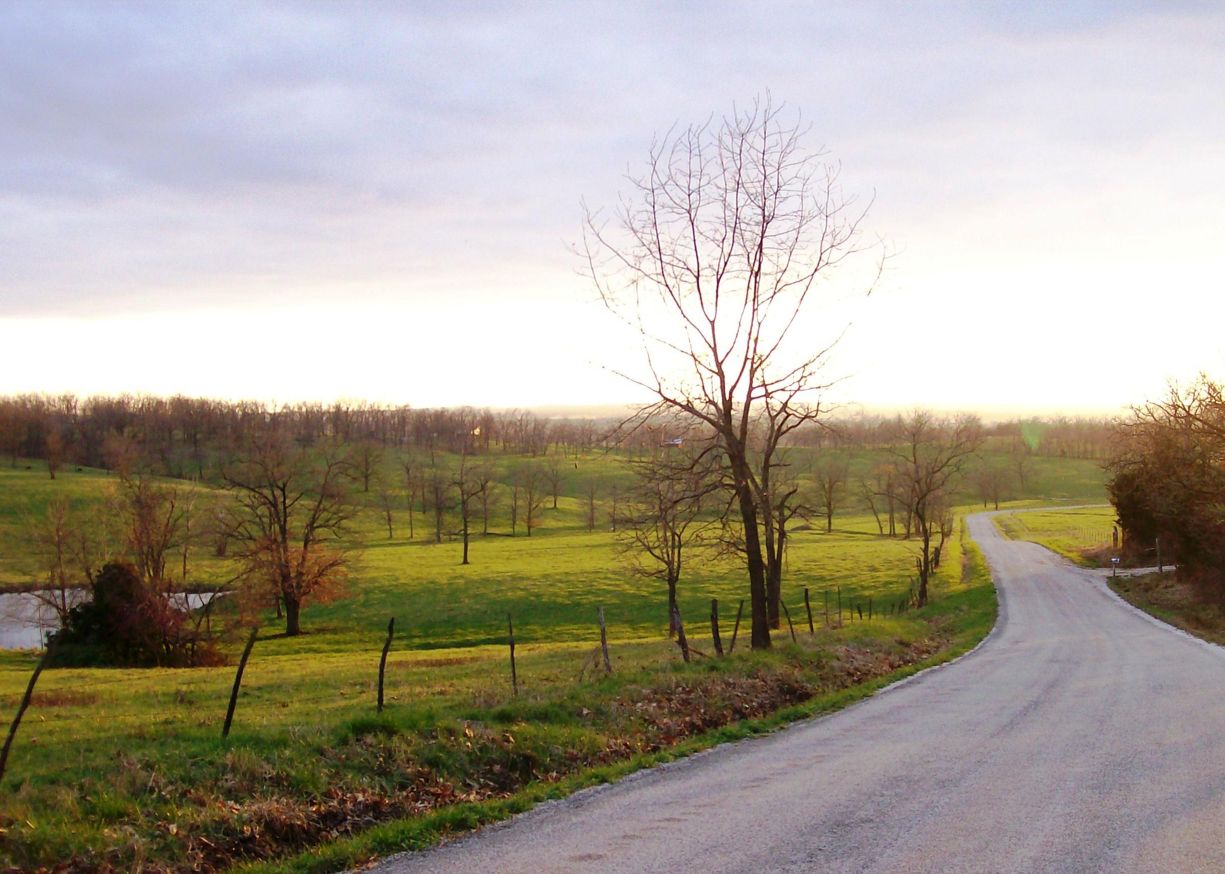 People From These Counties Are Looking to Buy Homes in Wayne County, MO