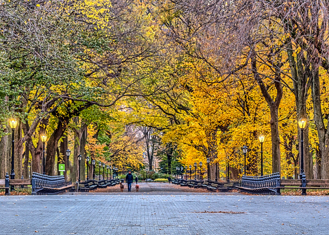 Major Cities With the Most Accessible Public Parks