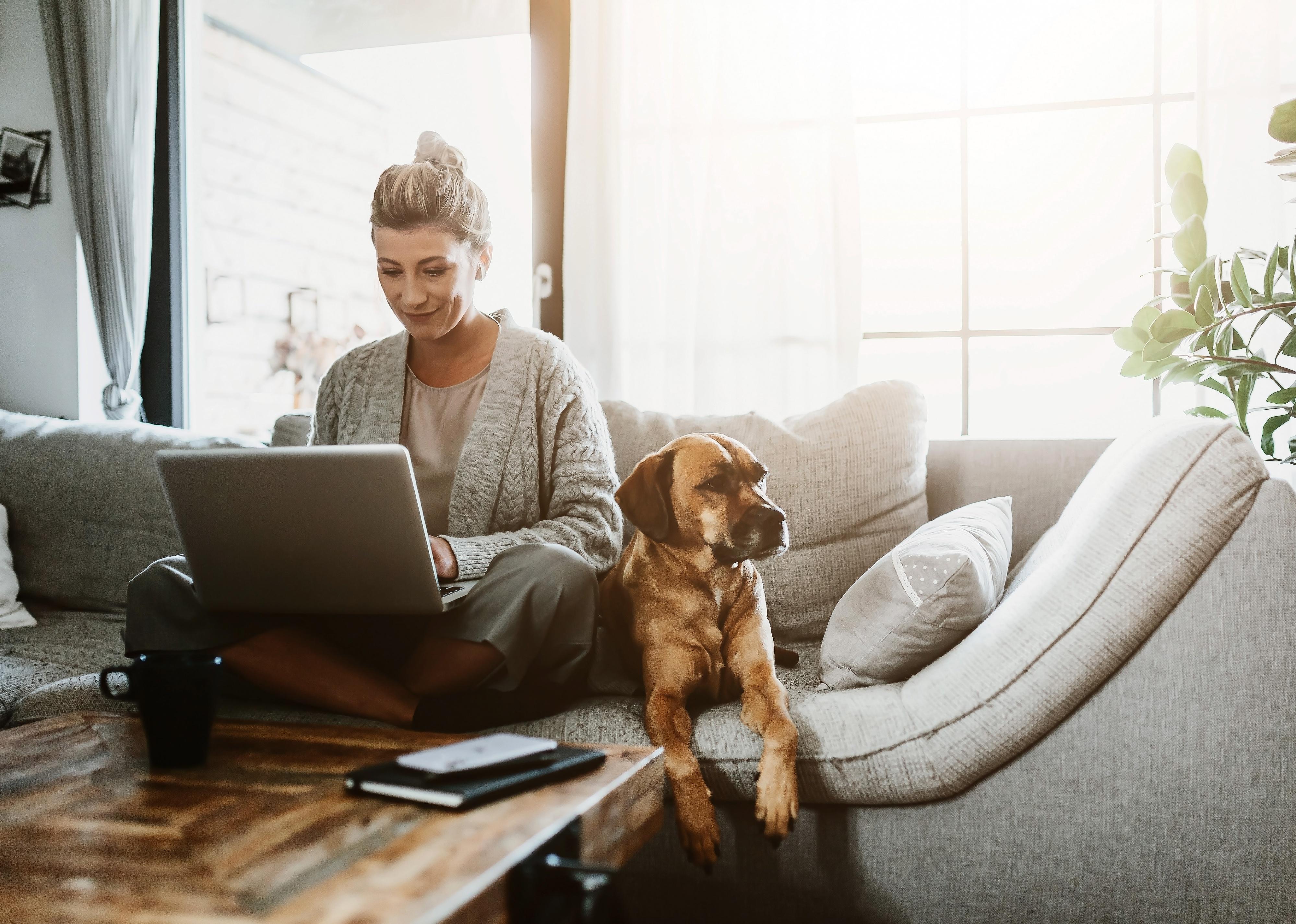 Woman working on laptop while sitting on couch with a dog.