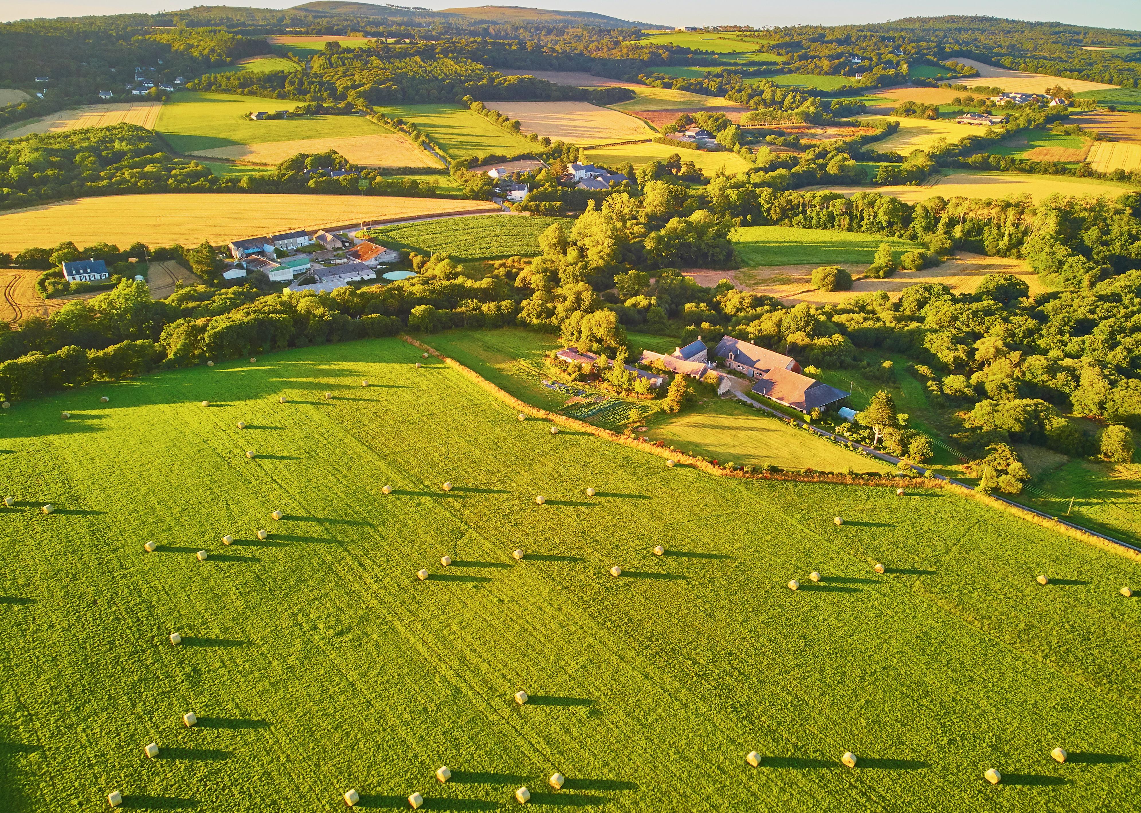 Aerial view of pastures and farmlands.