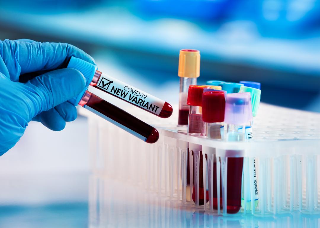 A blue gloved hand in the lab holding tubes of blood identified with the label COVID-19 New Variant.