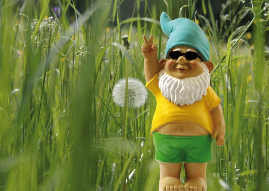 A gnome in the grass.