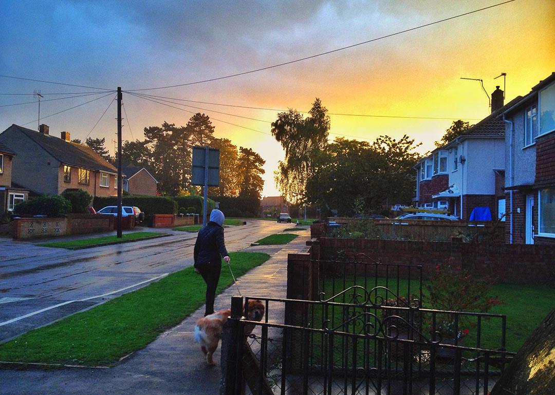 A person walking a dog in a neighborhood during sunset after a rain.