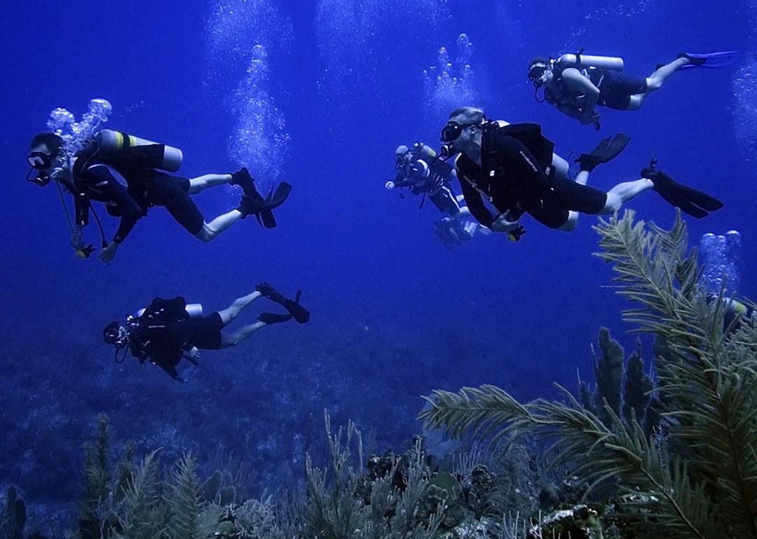 A group of former navy SEALs underwater.